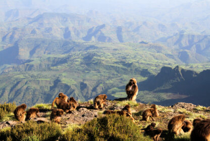 Simien Mountains Trekking: Complete Travel Guide