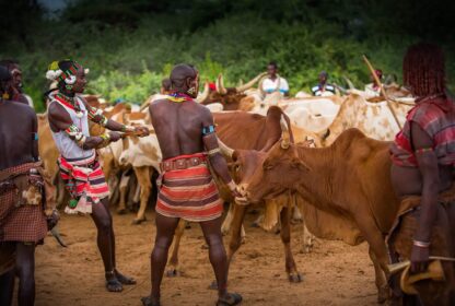 Ethiopia Travel Experiences | Seven Days Ethiopia Tours