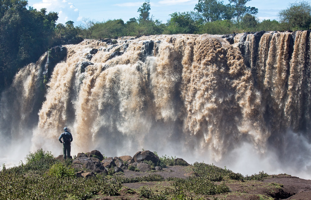 49413010606_35f7f5429a_b